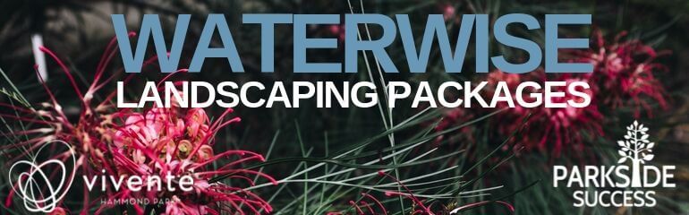 Waterwise Landscape Packages at Vivente & Parkside Success